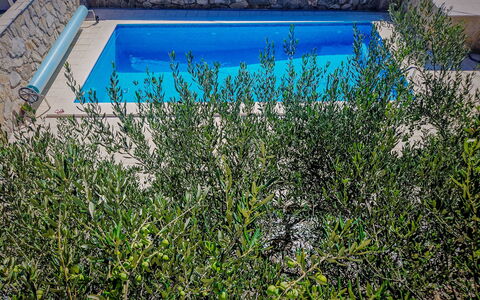 Palada: Arbuste, Jardin, Ombre, Piscine, Arrière-Cour, Aménagement Paysager, Clôture