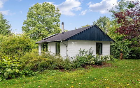 Velika - 300M to the Fjord: Herbe, Arbre, Vert, Feuille, Maison, Toit, Arbuste, Chalet, Domicile