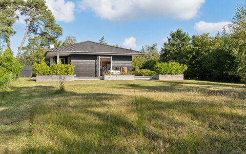Alvia - 1.6Km from the Sea: Végétation, Arbuste, Printemps, Chalet, Jardin, Ombre, Arrière-Cour, Cour, Chaise