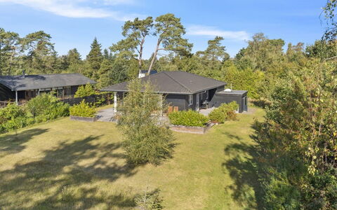 Alvia - 1.6Km from the Sea: Végétation, Arbuste, Printemps, Chalet, Jardin, Ombre, Arrière-Cour, Cour, Chaise