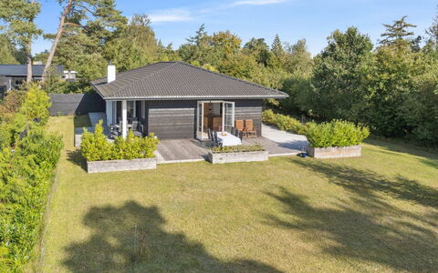 Alvia - 1.6Km from the Sea: Végétation, Arbuste, Printemps, Chalet, Jardin, Ombre, Arrière-Cour, Cour, Chaise