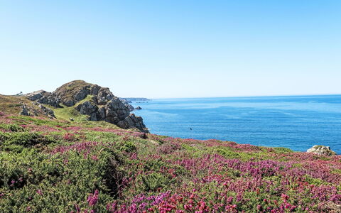 De Cap en Cap: Fleur, Côte, Mer, Horizon, Cotiers Et Relief Océaniques, Terrain, Communauté Des Plantes, Océan, Couverture De Sol, Promontoire