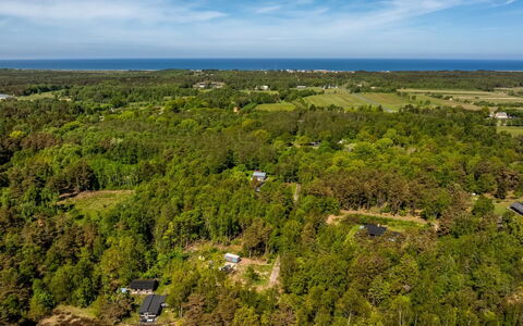 Alika - 300M from the Sea: Végétation, Vue Du Ciel, Paysage, Écorégion, Photographie Aérienne, Lot Terre, Plaine, Forêt, Plantation, Chaparral