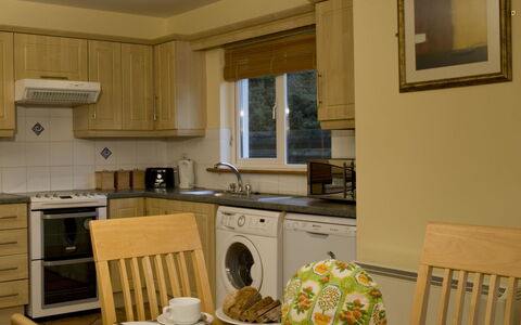 Forest Haven(Tr4) Hh No 4: Meubles, Design Intérieur, Bois, Sol, Cuisine, Comptoir, Appareil De Cuisine, Cabinetry, Pièce, Sol