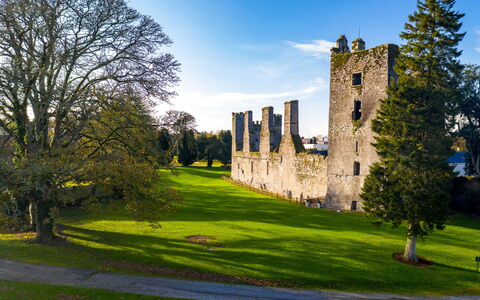 Castlemartyr Lodges (Tr4) No 1 (3 Bed): Herbe, Vert, Paysage, Prairie, Pelouse, Plaine, Château, Prairie, Jardin
