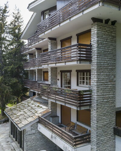 Larici