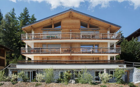 Apollo 2: Bois, Domicile, Balcon, Appartement, Porche, Ombre, Dur, Lumber, Conception, Tache De Bois