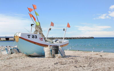 Gisa - 500M from the Sea