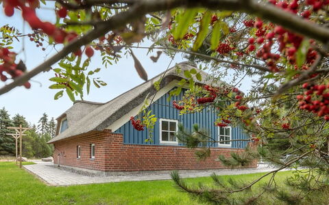 Alvina - 3.2Km from the Sea