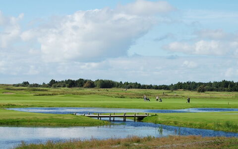 Alvina - 3.2Km from the Sea