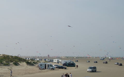 Alvina - 3.2Km from the Sea