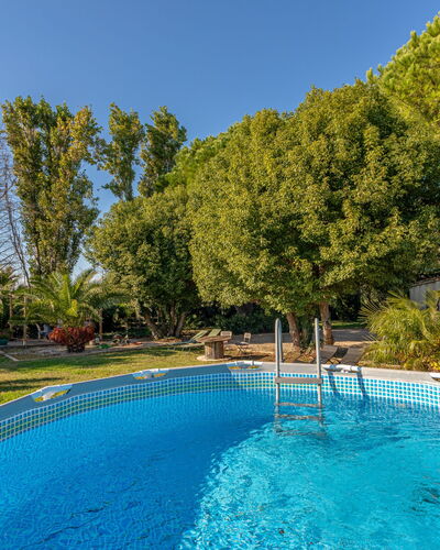 Palmeraie: Bleu, L'Eau, Piscine, Ombre, Recours, Loisir, Mobilier De Jardin, Eco Hôtel, Jardin, Aménagement Paysager