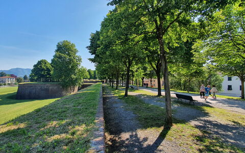 Casa Capolino: Arbre, Herbe, La Nature, Printemps, Pelouse, Parc, Aménagement Paysager, Passerelle, Chemin