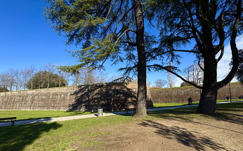Casa Capolino: Herbe, Arbre, Matin, Pelouse, Ombre, Mur De Pierre, Parc, Passerelle, Chemin