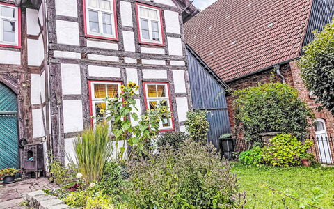 Schwalenberg 111: Arbuste, Maison, Domicile, Jardin, Chalet, Cour, Arrière-Cour, Aménagement Paysager, Pot De Fleur