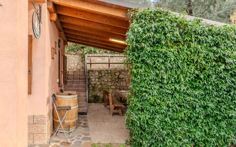 Graziella: Arbuste, Jardin, Ombre, Haie, Aménagement Paysager, Arrière-Cour, Clôture, Accueil Escrime