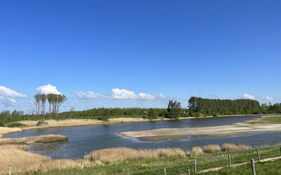 De Zeebries