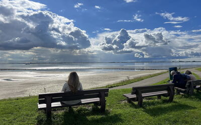 De Zeebries