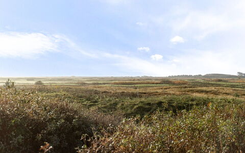 Thomine - 2.5Km from the Sea: Ciel, Herbe, Environnement Naturel, Prairie, Végétation, Nuage, Écorégion, Paysage Naturel, Horizon, Plaine