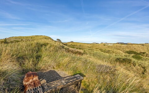 Sigbritt - 750M from the Sea: Ciel, Bleu, Herbe, Environnement Naturel, Prairie, Végétation, Écorégion, Horizon, Communauté Des Plantes, Prairie