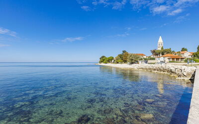 Umag 800