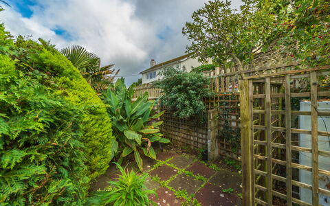 Shanty Cottage: Vert, Végétation, Arbuste, Communauté Des Plantes, Jardin, Couverture De Sol, Aménagement Paysager, Arrière-Cour, Cour, Jardin Botanique