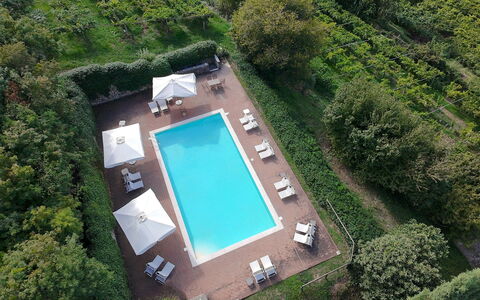Calicantus, Verona, Pool, Wifi: Piscine, Recours, Eco Hôtel, Mobilier De Jardin, Jardin, Hôtel, Aménagement Paysager, Villa, Hacienda, Plantation