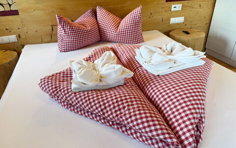 Aschau im Zillertal 675: Meubles, Linge, Coussin, Throw Pillow, Literie, Oreiller, Chambre, Drap De Lit, Lit, Mobilier De Jardin