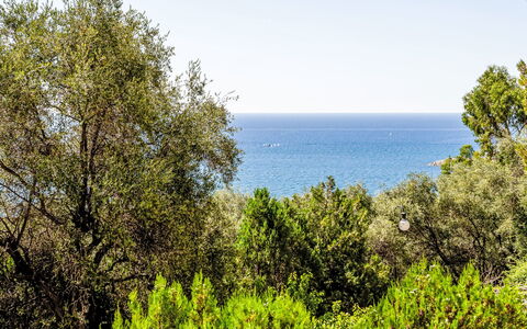 Casa del Mare: Bleu, Vert, Feuille, Végétation, Communauté Des Plantes, Mer, Océan, Réserve Naturelle, Lumière Du Soleil, Côte