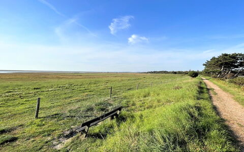 Antonina - 775M from the Sea: Ciel, Bleu, Herbe, Vert, Environnement Naturel, Prairie, Paysage Naturel, Écorégion, Horizon, Nuage