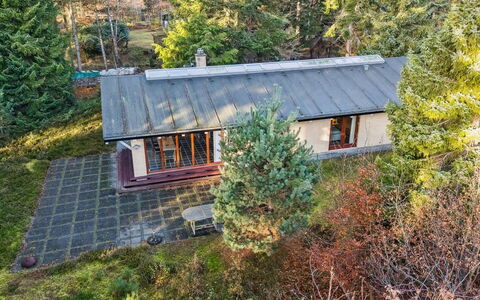 Jorid - from the Sea: Arbre, Maison, Toit, Domicile, Chalet, Zone Rurale, Mélèze, Ferme, Batiments Jardin, Biens
