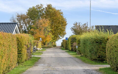 Elle - 175M from the Sea: Herbe, Prairie, Paysage, Écorégion, Plaine, Communauté Des Plantes, Lot Terre, Mobilier De Jardin, Prairie, Formations Arbustives