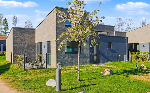 Wellenklang: Jardin, Cour, Biens, Banlieue, Aménagement Paysager, Allée, Arrière-Cour, Siding