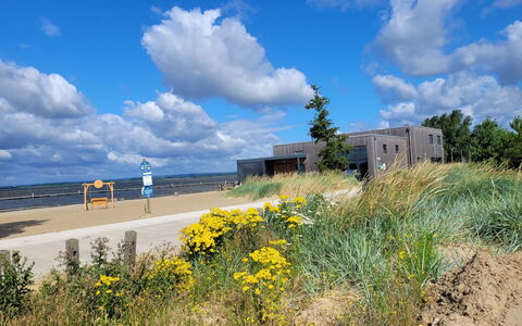 Seeperle: Passerelle, Wildflower