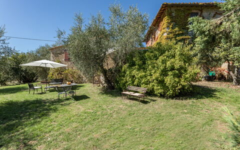 Castellina in Chianti 625: Gelé, L'Hiver, Neige, Mélèze