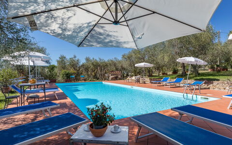Logement:&nbsp;La Foresta 625.4
