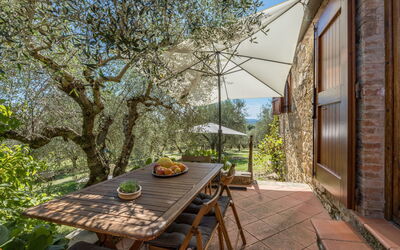 Logement:&nbsp;La Foresta 625.4