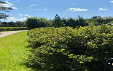 Vilhelm - 10Km from the Sea: Bleu, Chalet, Maison, Domicile, Ferme, Biens, Siding