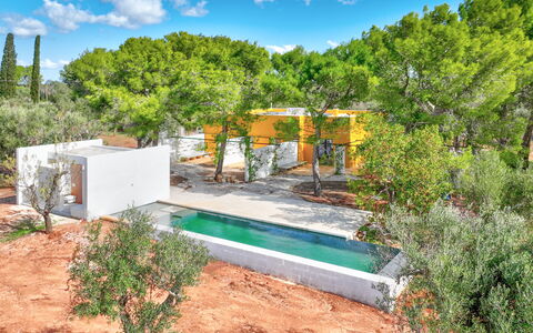 Villa Manè: Jardin, Aménagement Paysager, Arrière-Cour