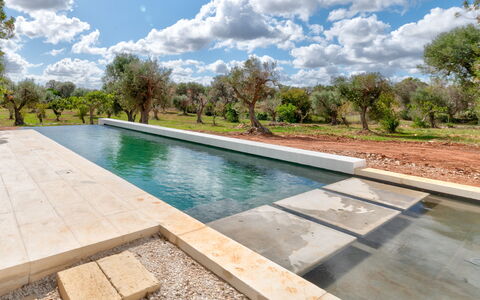 Villa Manè: Composite, Piscine, Caractéristique De L'Eau, Réflexion, Aménagement Paysager, Tuile, Miroir D'Eau, Passerelle