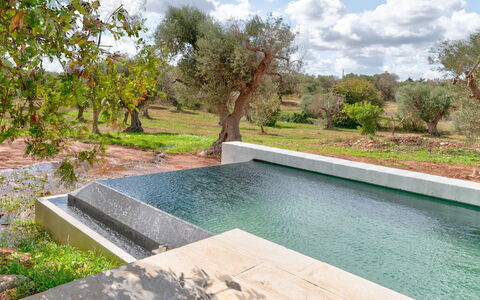 Villa Manè: Composite, Jardin, Piscine, Caractéristique De L'Eau, Aménagement Paysager, Arrière-Cour, Matériau Naturel, Conception