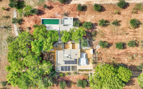 Villa Manè: Arbre, Biens, Plantation, Photographie Aérienne, Vue Du Ciel