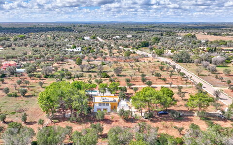 Villa Manè: Jour, Arbre, Paysage, Lot Terre, Plaine, Zone Rurale, Vue Du Ciel, Champ, Photographie Aérienne, Plantation