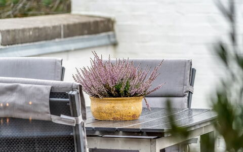 Ketilbiorn - 700M from the Sea: Meubles, Mobilier De Jardin, Pot De Fleur, Chaise, Jardin, Plante D'Appartement, Tableau De Plein Air, Patio, Arrière-Cour