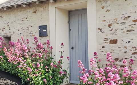 Les Goganes: Fleur, Rose, Plante À Fleurs, Printemps, Fleur, Wildflower
