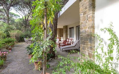 Roccamare Engel: Arbuste, Jardin, Couverture De Sol, Ombre, Brique, Arrière-Cour, Aménagement Paysager, Cour, Dalle, Plante D'Appartement