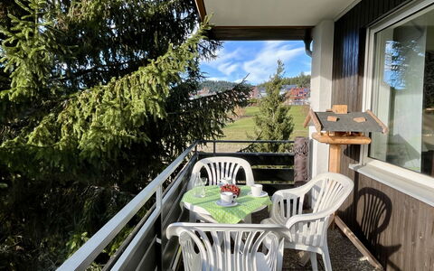 Sonnige Aussichten: Meubles, Chaise, Porche, Mobilier De Jardin, Balcon, Table Cuisine Et Salle A Manger, Ombre, Cour, Tache De Bois