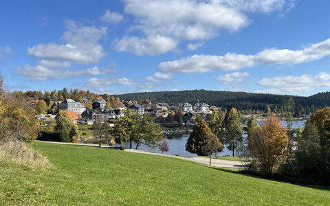 Sonnige Aussichten: La Nature, Paysage, Banque, Lac, Réservoir, Prairie, Pelouse, Loch