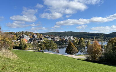 Sonnige Aussichten