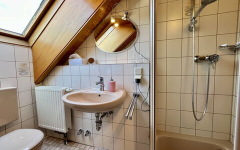Bienek: Design Intérieur, Plomberie, Luminaire Plomberie, Robinet, Tache De Bois, Dur, Salle De Bains, Rideau, Évier, Plante D'Appartement